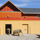 Illustration for article titled Two Elephants From San Diego Arrive At Los Angeles Zoo